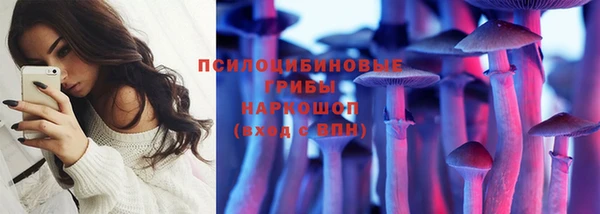 apvp Алексин
