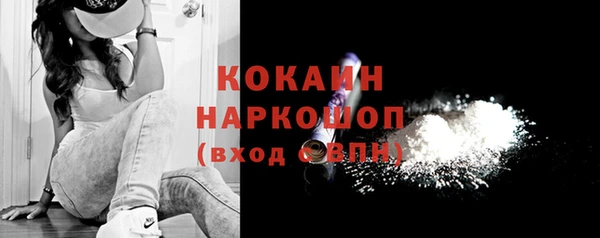 apvp Алексин
