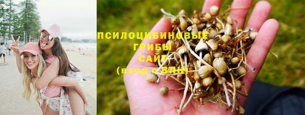 jwh Алзамай