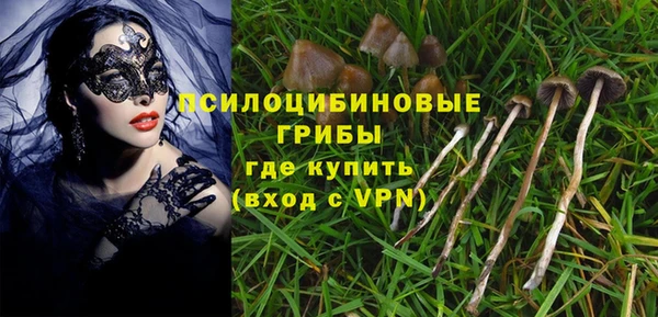 apvp Алексин