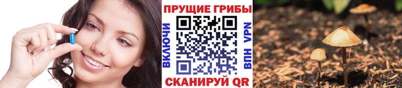 цена наркотик Амурск Псилоцибиновые грибы Psilocybe