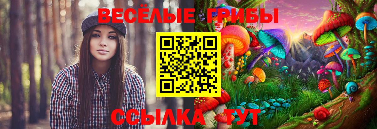 Галлюциногенные грибы прущие грибы  Псилоцибиновые грибы прущие грибы  Вход с VPN  Амурск 