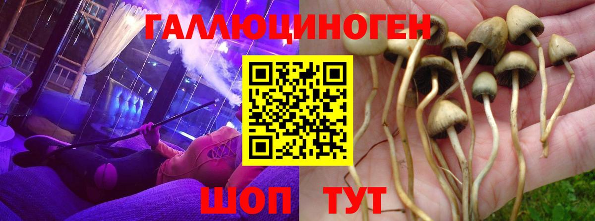 Галлюциногенные грибы мицелий Амурск