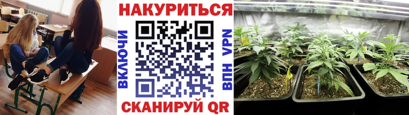 МАРИХУАНА индика Амурск
